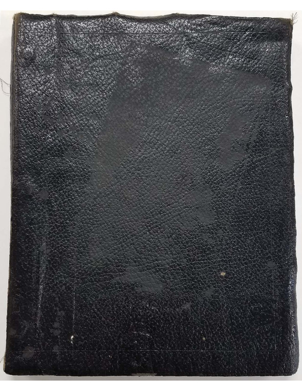A Union Soldier's Diary of His Civil War Service with the Second Michigan Cavalry